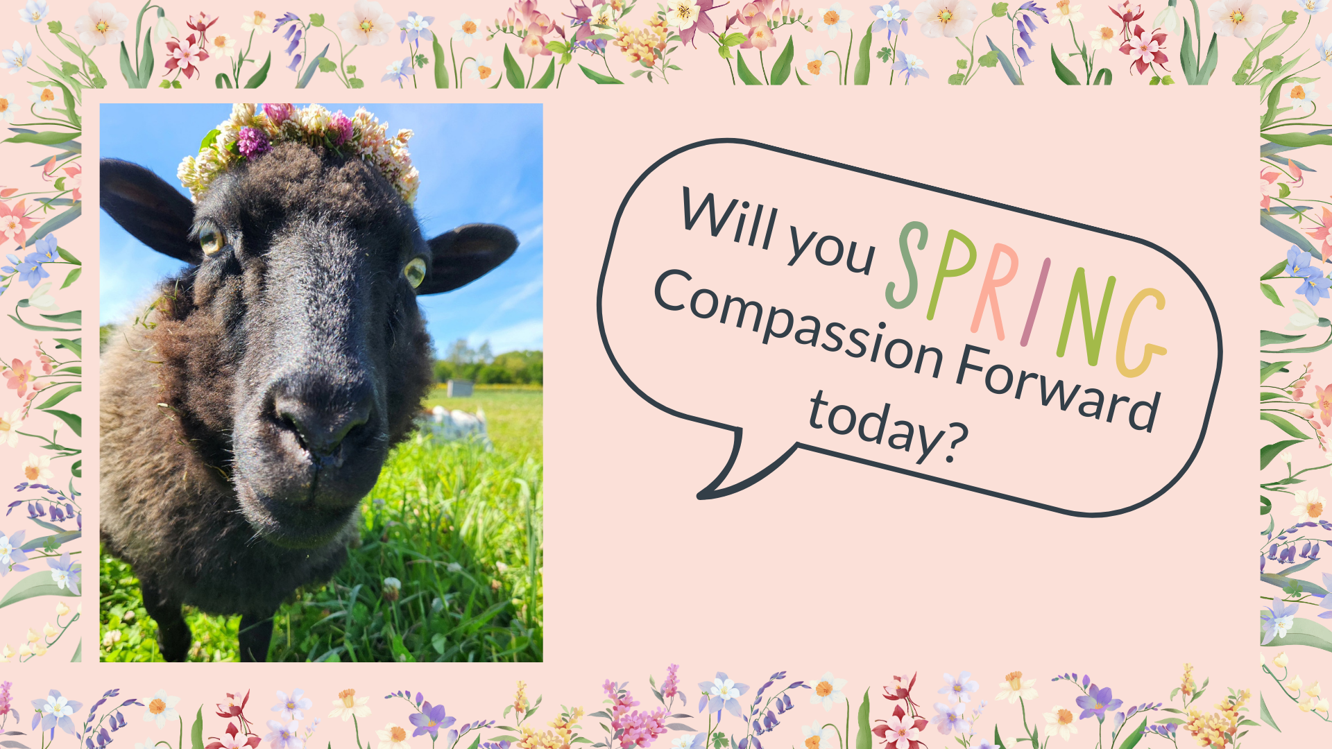 Heartland Farm Sanctuary